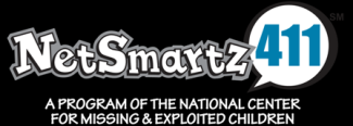 net smartz 411 logo